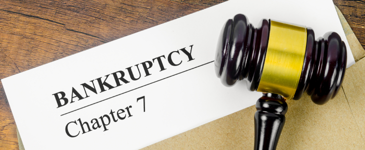 Chapter 7 Bankruptcy Law