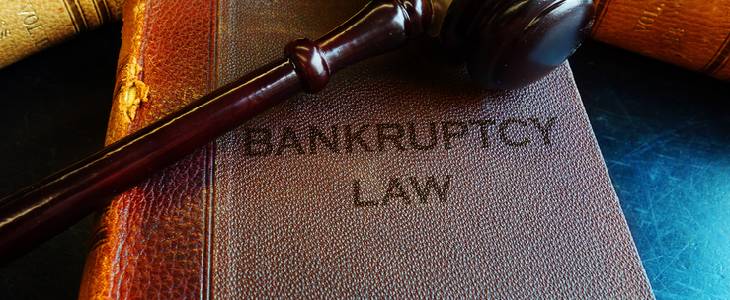 Bankruptcy Law book